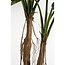 Mica Decorations Artificial Philodendron Plant - Green - H140 cm