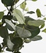 Kunstplant Groen 1Polyester