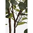 Mica Decorations Artificial Eucalyptus Plant - Green - H180 cm