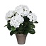 Mica Decorations Kunstplant Wit 1Polyester