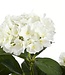 Kunstplant Wit 1Polyester