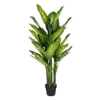 Mica Decorations Künstliche Dieffenbachie - Grün - H150 cm