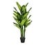 Mica Decorations Artificial Dieffenbachia Plant - Green - H150 cm