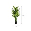 Mica Decorations Artificial Dieffenbachia Plant - Green - H150 cm