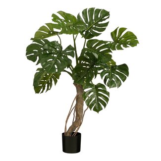 Mica Decorations Künstliche Monstera - Grün - H135 cm