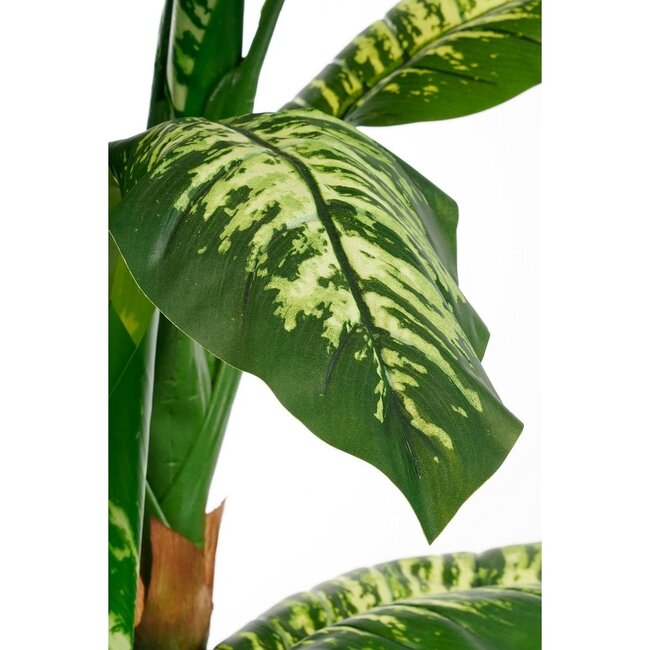 Mica Decorations Künstliche Dieffenbachie - Grün - H150 cm