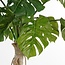 Mica Decorations Artificial Monstera Plant - Green - H135 cm
