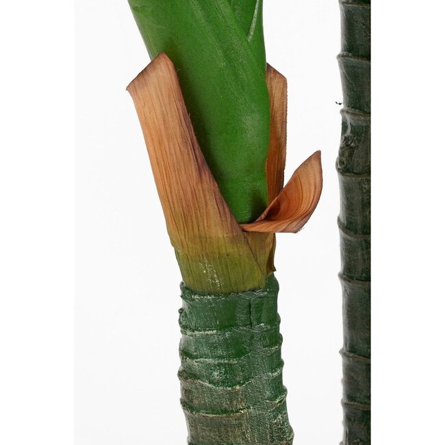 Mica Decorations Artificial Dieffenbachia Plant - Green - H150 cm