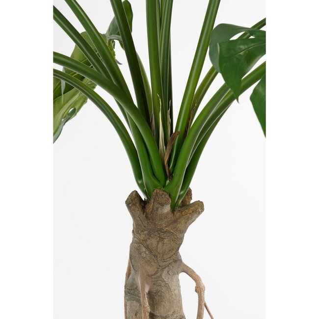 Mica Decorations Artificial Monstera Plant - Green - H135 cm