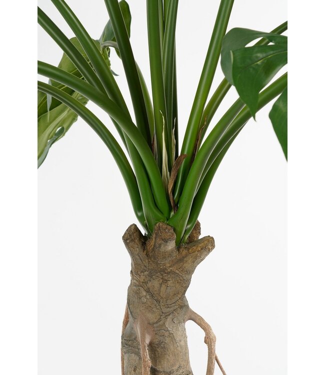 Kunstplant Groen 1Polyester