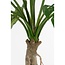 Mica Decorations Artificial Monstera Plant - Green - H135 cm