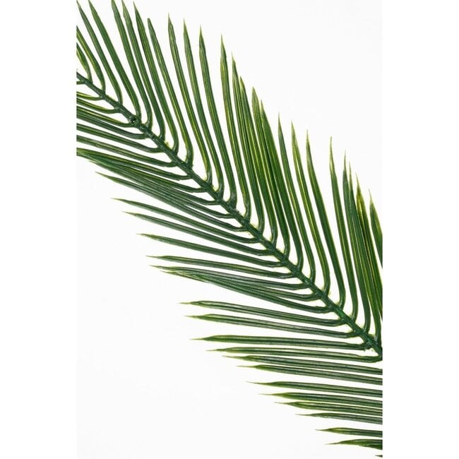 Mica Decorations Artificial Cycas Palm - Green - H150 cm