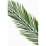 Mica Decorations Künstliche Cycas-Palme - Grün - H150 cm