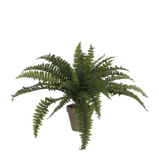 Mica Decorations Künstlicher Farn - Grün - H40 × Ø55 cm