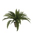 Mica Decorations Künstlicher Farn - Grün - H40 × Ø55 cm
