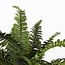 Mica Decorations Artificial Fern - Green - H40 × Ø55 cm