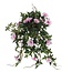 Mica Decorations Artificial Trailing Petunia - Pink - L25 × W45 × H50 cm