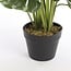 Mica Decorations Künstliche Monstera - Grün - H50 × Ø70 cm
