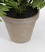 Kunstplant Groen 1Polyester