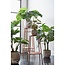 Mica Decorations Artificial Monstera Plant - Green - H50 × Ø70 cm