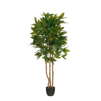 Mica Decorations Künstliche Fatsia - Grün - H150 cm