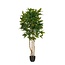 Mica Decorations Kunstplant Groen 1Polyester