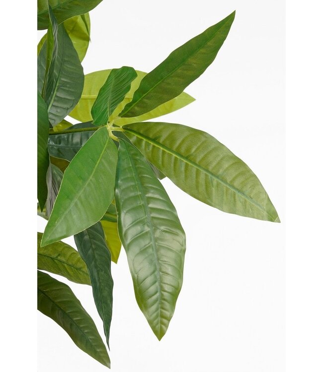 Kunstplant Groen 1Polyester