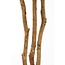 Mica Decorations Artificial Fatsia Plant - Green - H150 cm