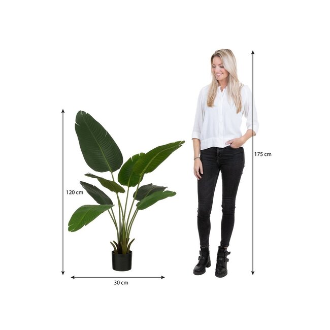 Mica Decorations Künstlicher Bananenbaum - Grün - H120 cm