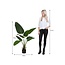 Mica Decorations Artificial Banana Tree - Green - H120 cm