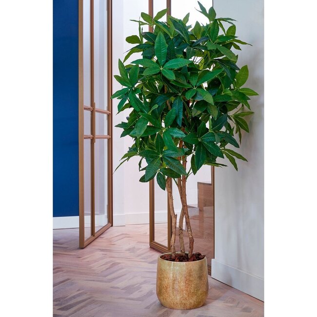 Mica Decorations Künstliche Fatsia - Grün - H150 cm
