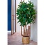 Mica Decorations Artificial Fatsia Plant - Green - H150 cm