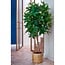 Mica Decorations Künstliche Fatsia - Grün - H150 cm