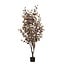 Mica Decorations Künstlicher Eukalyptus - Bronze - H180 cm