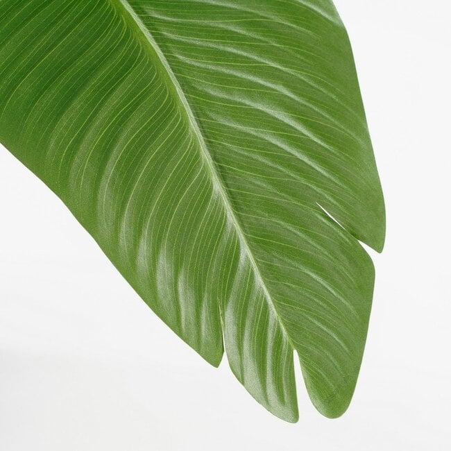 Mica Decorations Artificial Banana Tree - Green - H120 cm