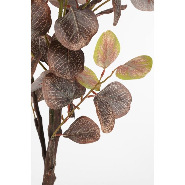 Mica Decorations Artificial Eucalyptus Plant - Bronze - H180 cm