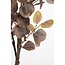 Mica Decorations Artificial Eucalyptus Plant - Bronze - H180 cm