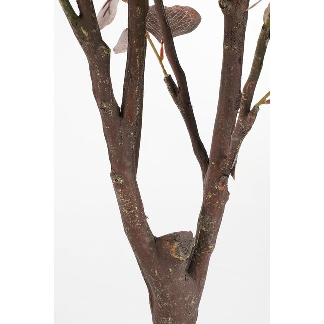 Mica Decorations Künstlicher Eukalyptus - Bronze - H180 cm