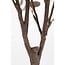 Mica Decorations Künstlicher Eukalyptus - Bronze - H180 cm
