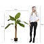 Mica Decorations Artificial Banana Tree - Green