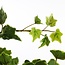 Mica Decorations Künstliche Efeu-Hängepflanze - Grün - L24 × B15 × H130 cm