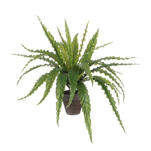 Mica Decorations Künstlicher Asplenium-Farn - Grün - H50 × Ø75 cm