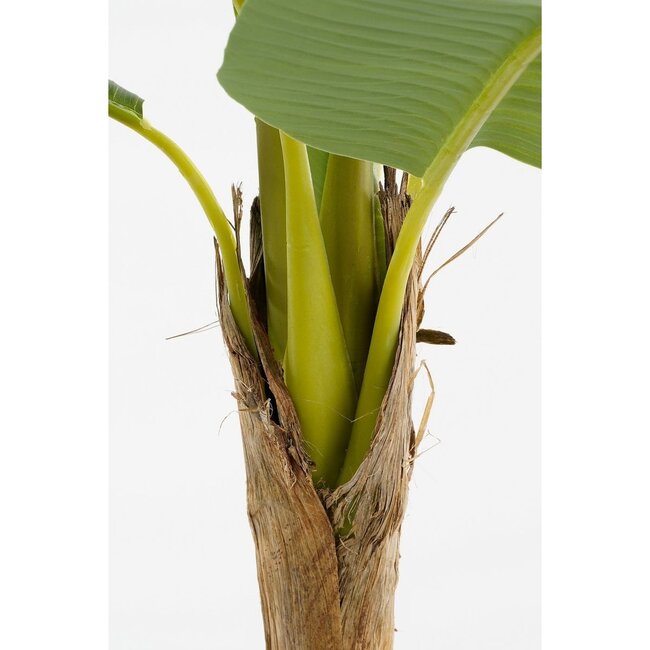 Mica Decorations Künstlicher Bananenbaum - Grün