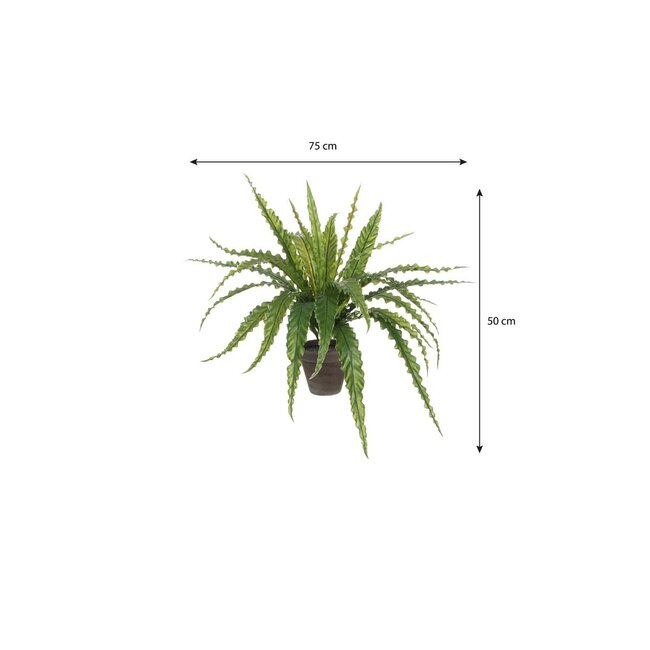 Mica Decorations Künstlicher Asplenium-Farn - Grün - H50 × Ø75 cm