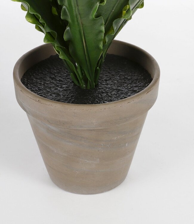 Kunstplant Groen 1Kunststof