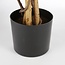 Mica Decorations Artificial Maple Tree - Red