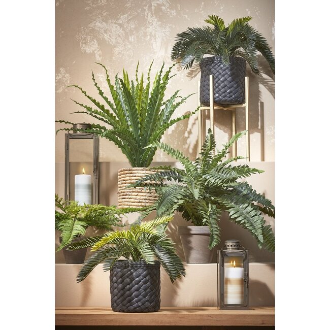 Mica Decorations Artificial Asplenium Fern - Green - H50 × Ø75 cm