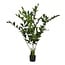 Mica Decorations Artificial Fishtail Palm - Green