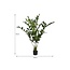 Mica Decorations Artificial Fishtail Palm - Green