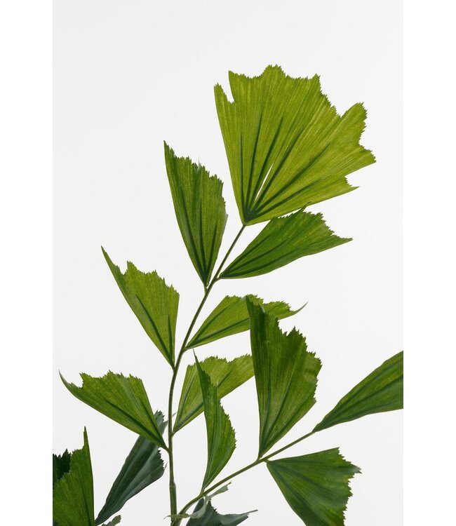 Kunstplant Groen 1Polyester